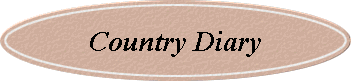 Country Diary