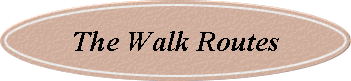 The Walk Routes